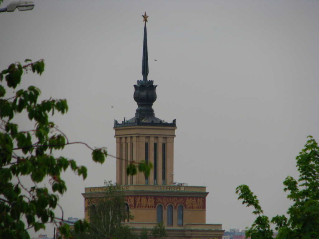 img_1355.jpg